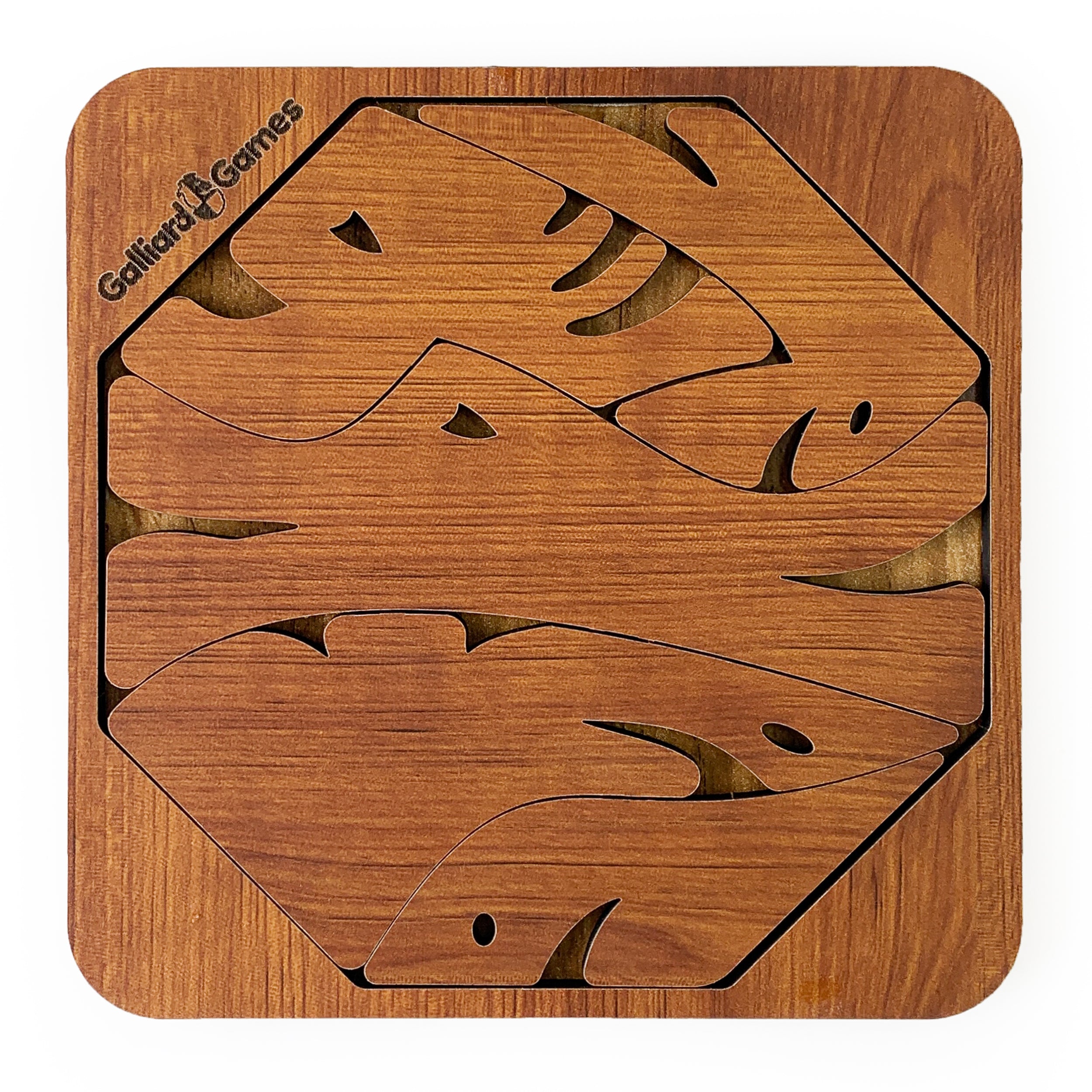 Wooden Shape Fit Puzzle Fish Fit