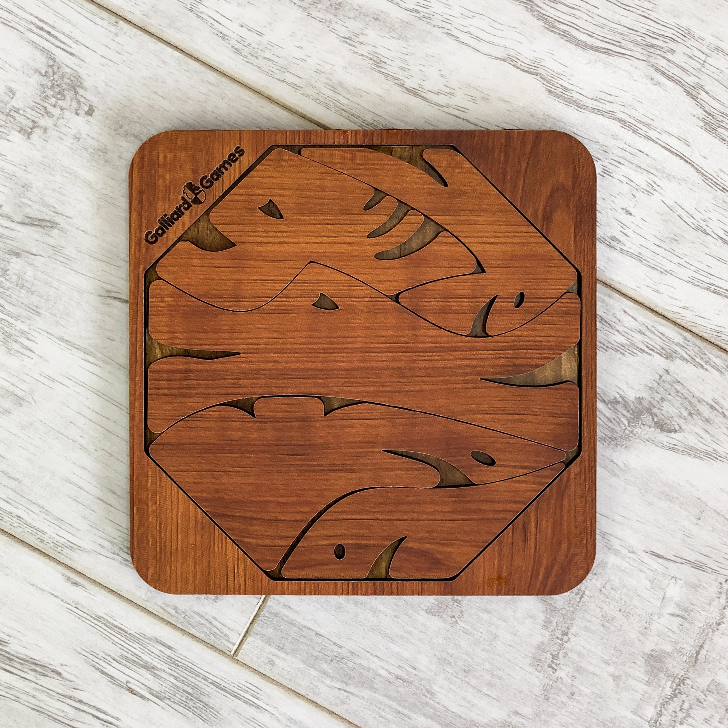 Wooden Shape Fit Puzzle Fish Fit - Image 2