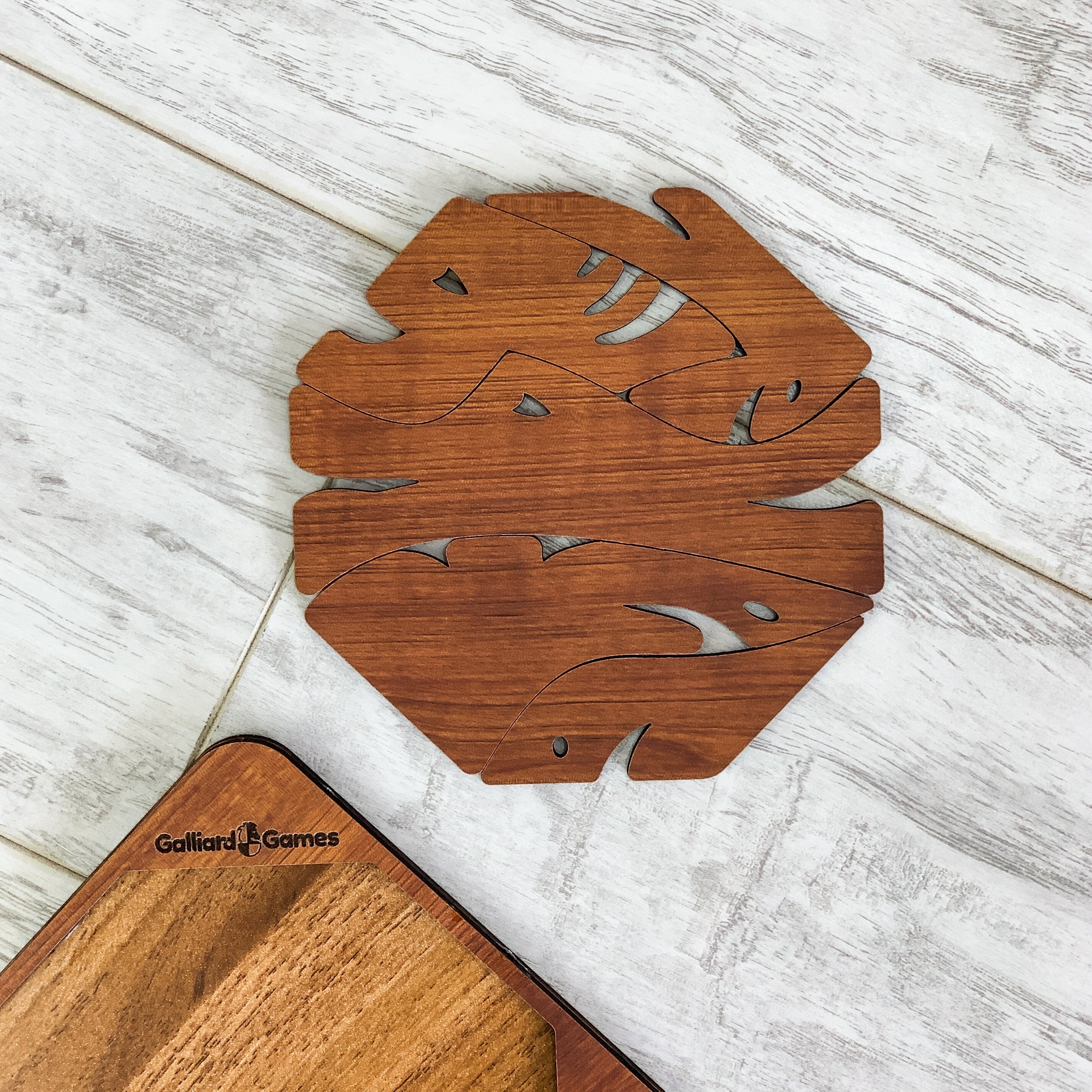 Wooden Shape Fit Puzzle Fish Fit - Image 3