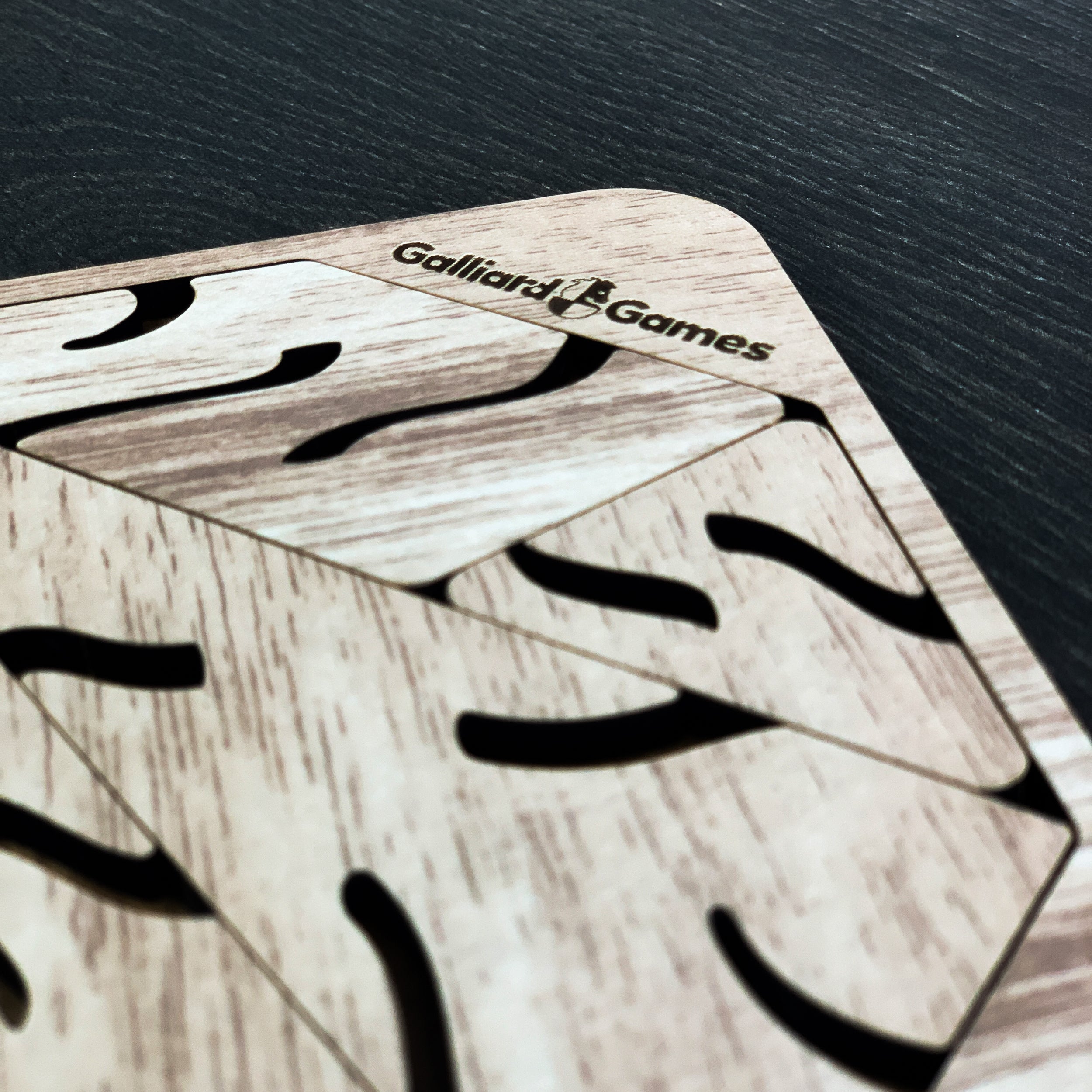 Wooden Shape Fit Puzzle Abstract Fit Type 1 - Image 5
