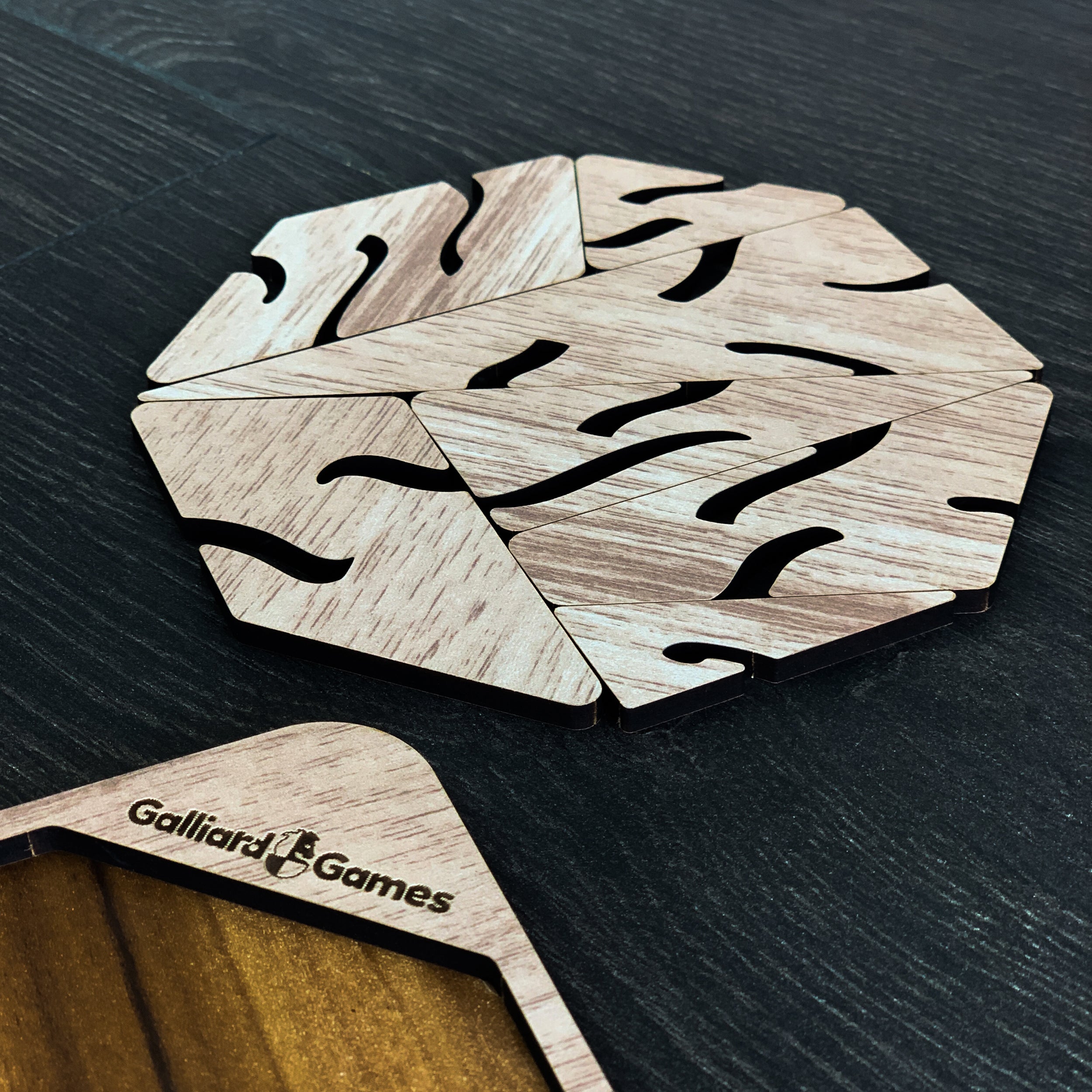 Wooden Shape Fit Puzzle Abstract Fit Type 1 - Image 3