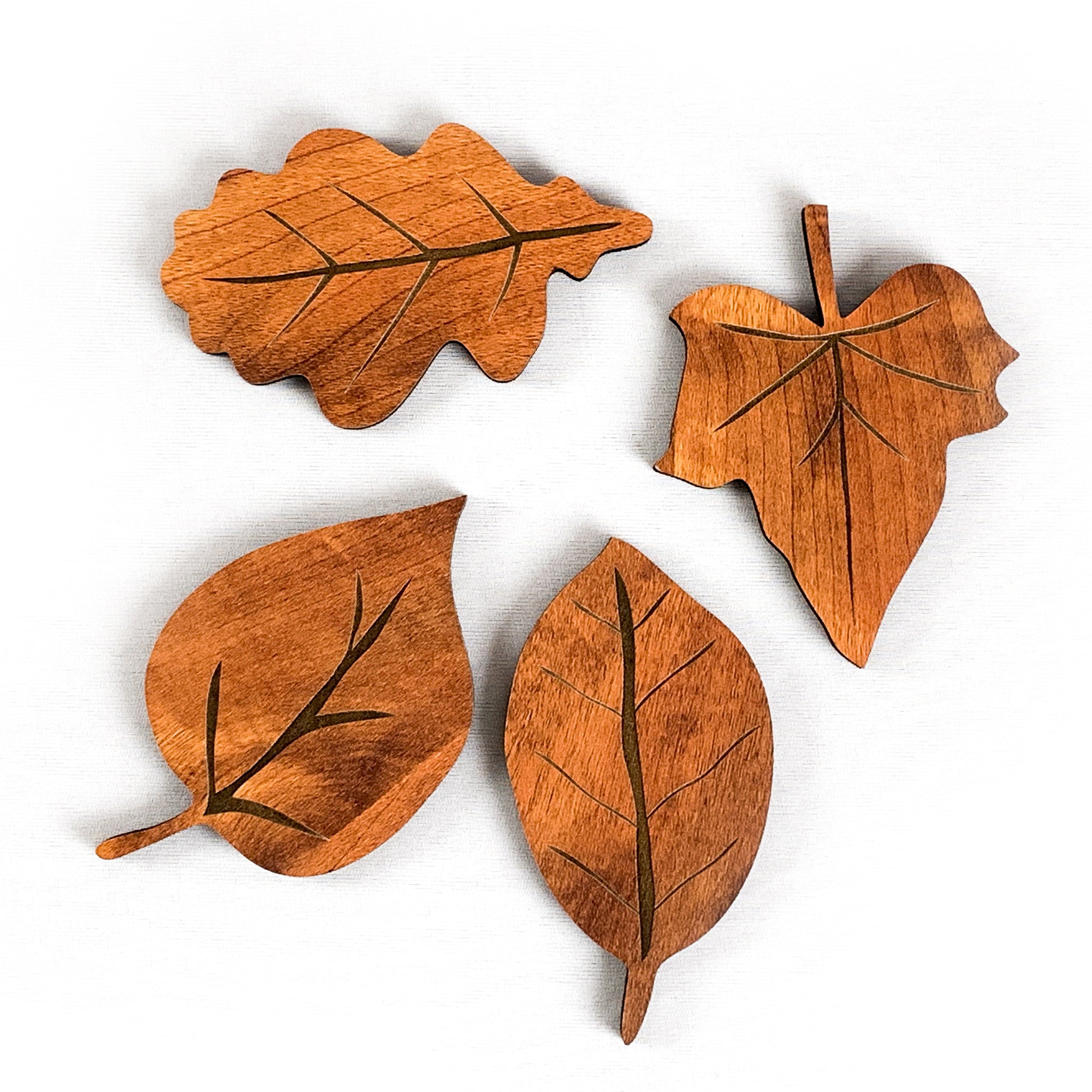 Leaves Coasters, Set Of 4, Red Teakwood - Image 2