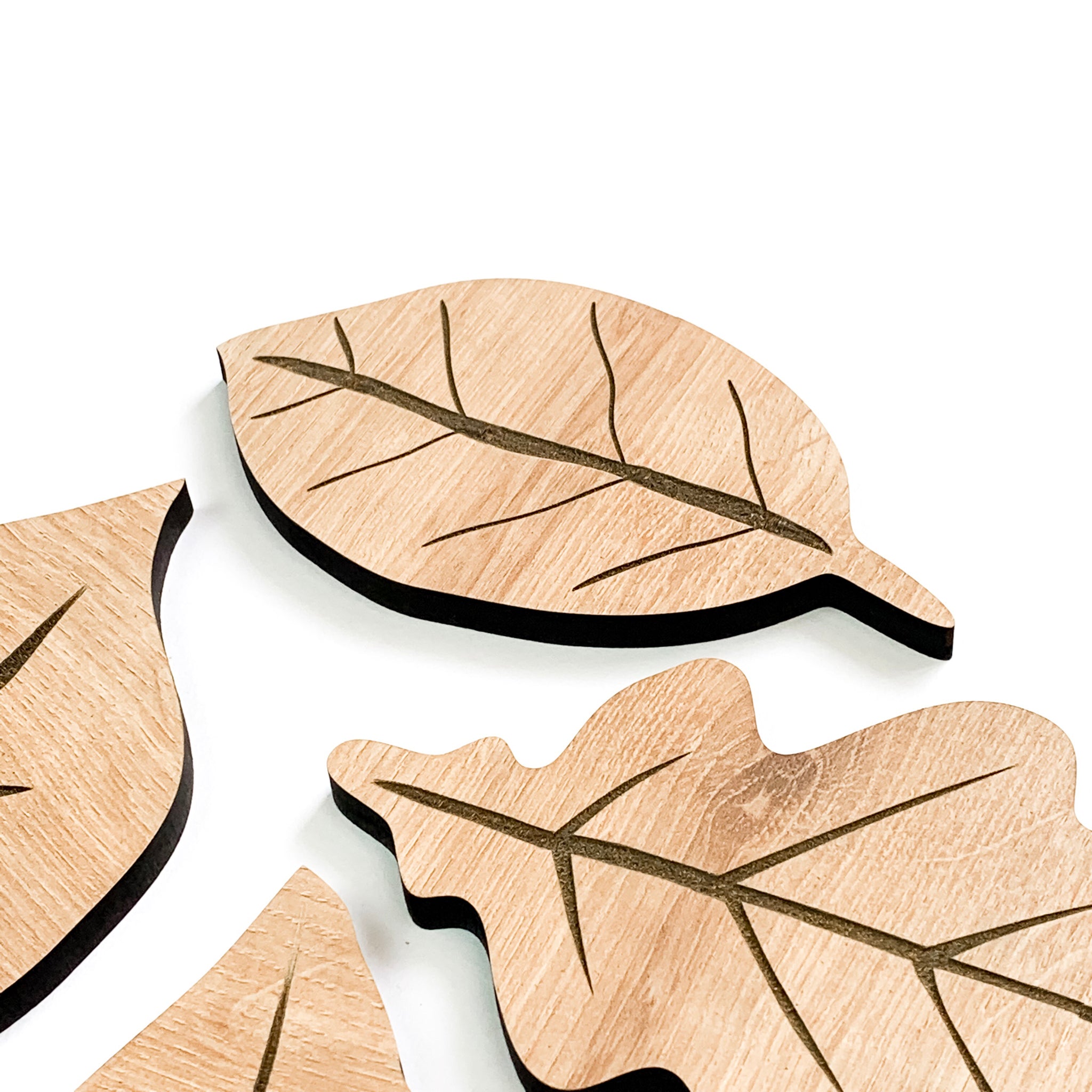 Leaves Coasters, Set Of 4, Beige Oakwood - Image 2